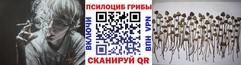 Галлюциногенные грибы мухоморы  Ильский 